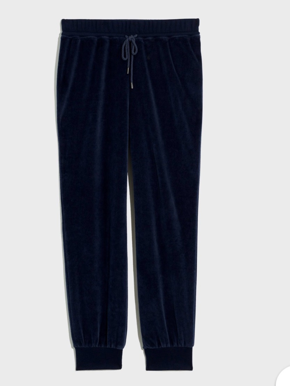 Madewell Navy Velour Jogger Pants